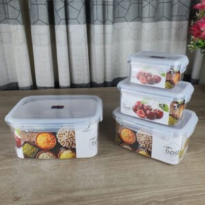 4 pcs Acrylic Food Container (Anj-01)